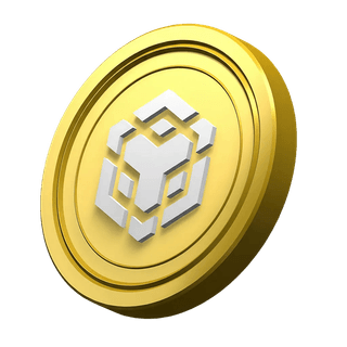Als Dekoration verwendeter BNB-Coin im Bereich mit Plattforminformationen