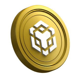 BNB-Kryptowährung auf der Ratgeberseite für neue Trader